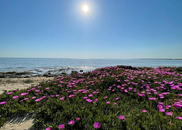Home Salento 1