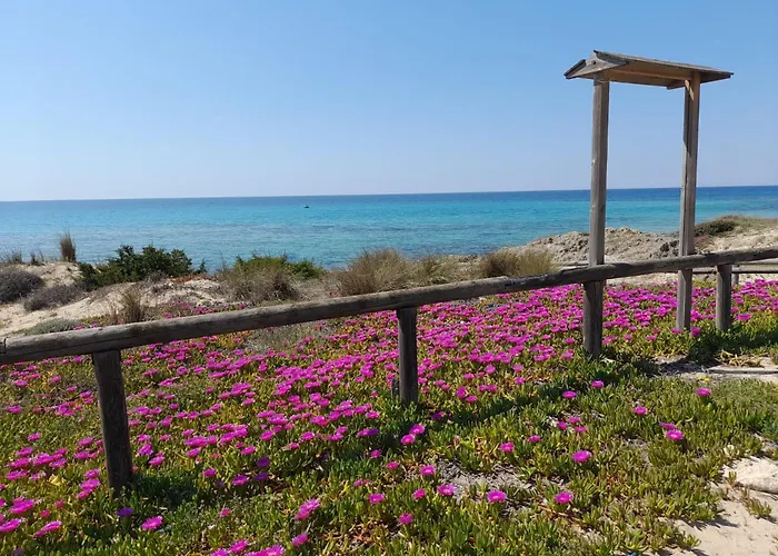 Home Salento 1