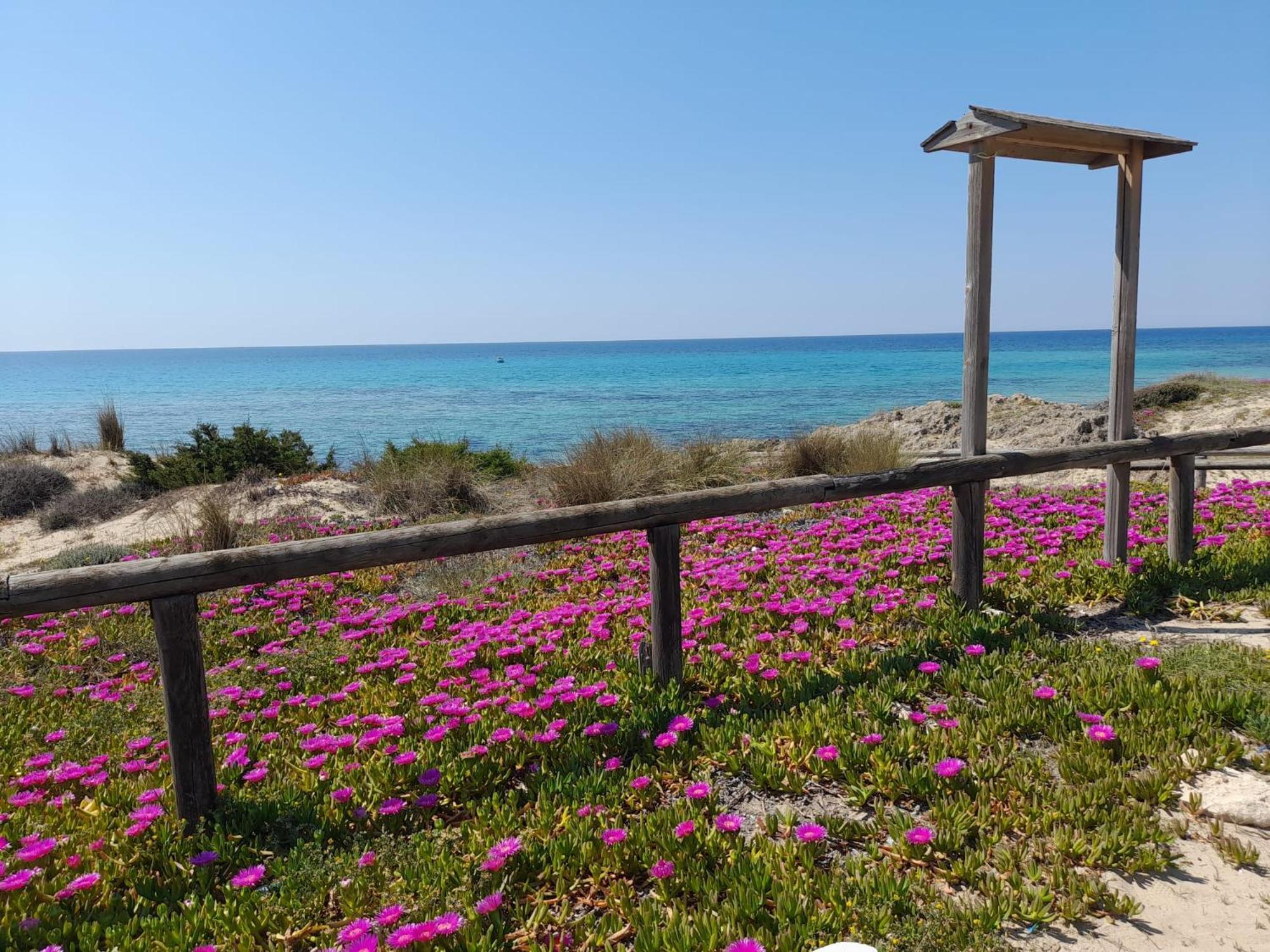 Salento 1 Holiday home Torre Vado